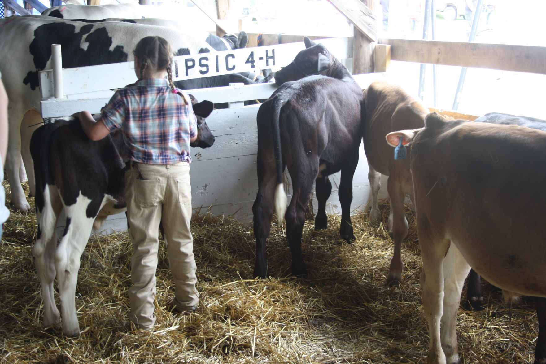 Sunday at the Dodge County Fair